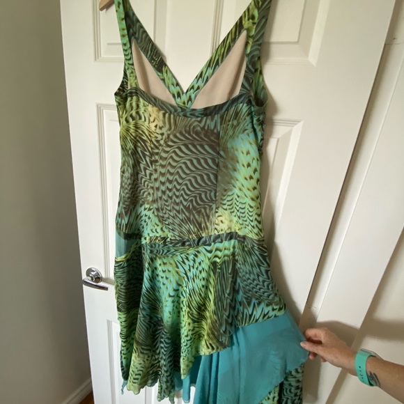 Peacock Dress - Picture 6 of 6